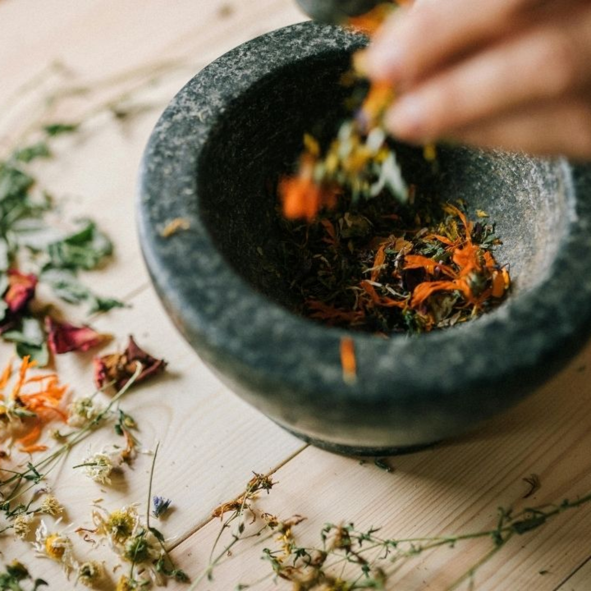 Fitoterapia w procesie rehabilitacji: rola ziół w leczeniu kontuzji i regeneracji tkanek